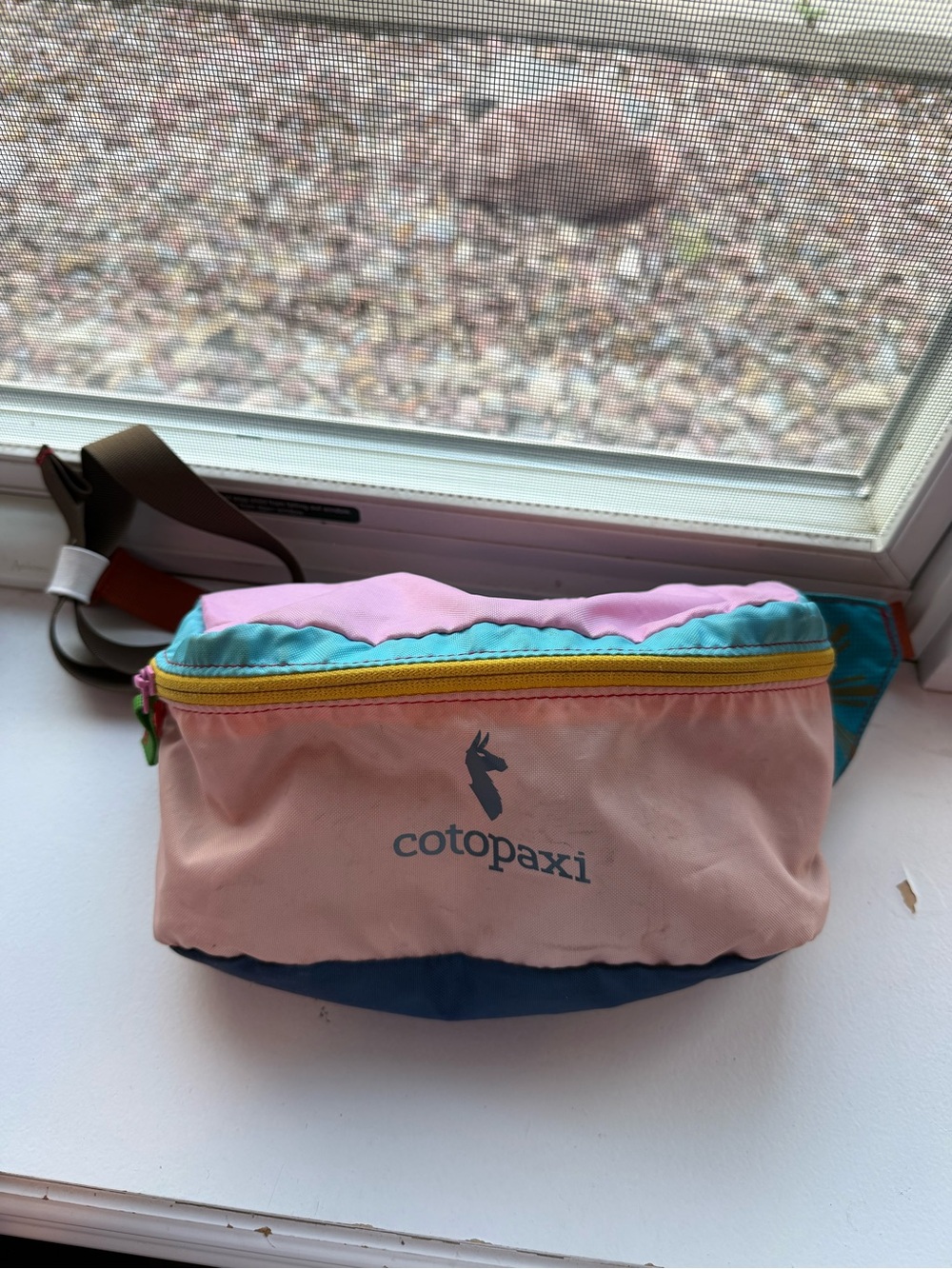 cotopaxi Pink Bataan Fanny Pack